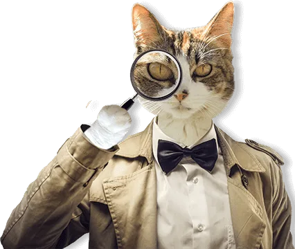 Edmond, Oklahoma Private Investigators, Process Servers, Mediation Service, Notary Public & Mobile Notary, & Polygraph Tests